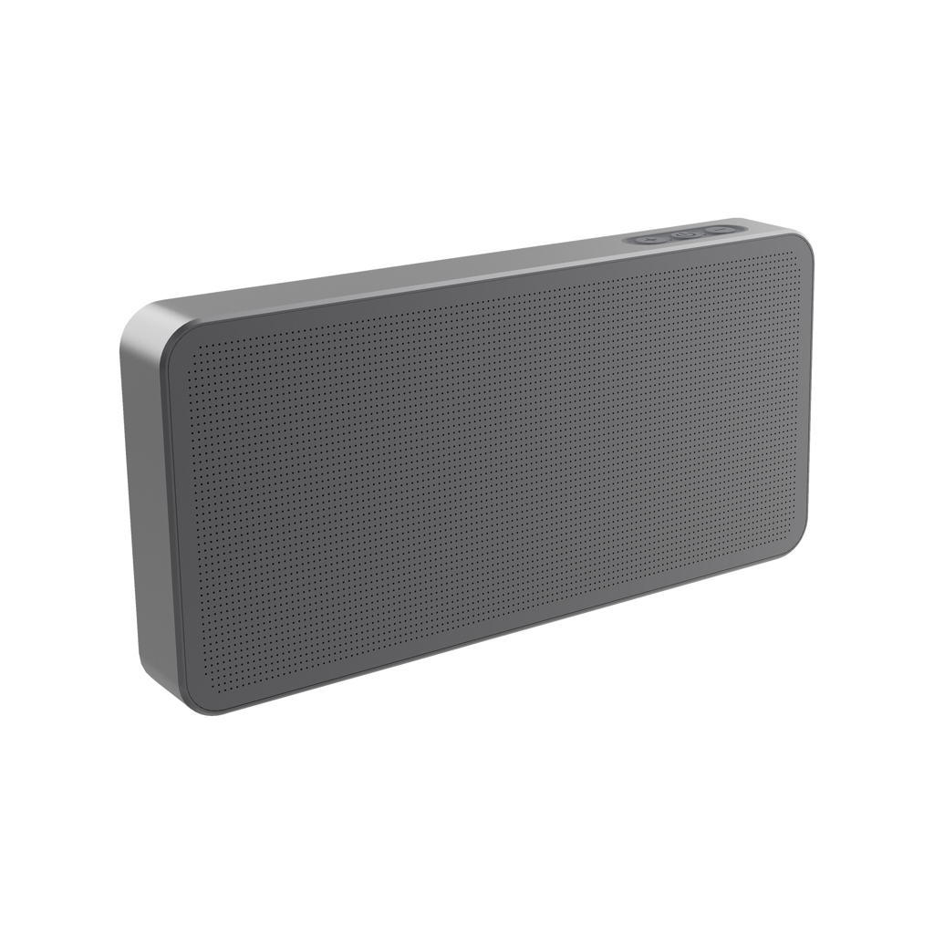 Aeris RCS ultradunne 10W IPX5 speaker met vervangbare batter